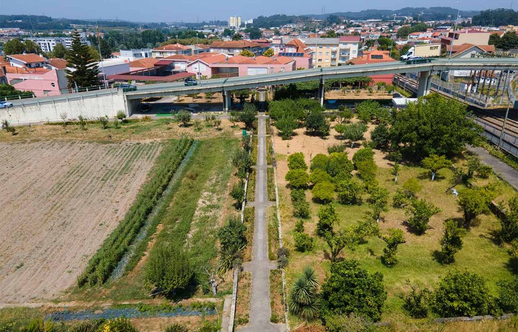 jardim-pomar-parque-externato-santa-joana