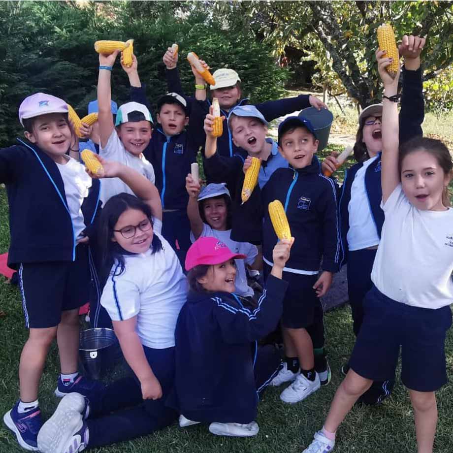 desfolhada-Quinta-Eira-externato-santa-joana-02