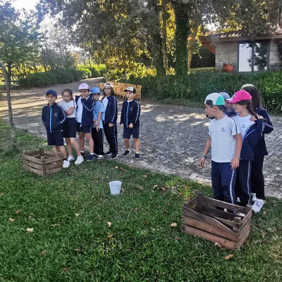 desfolhada-Quinta-Eira-externato-santa-joana-02