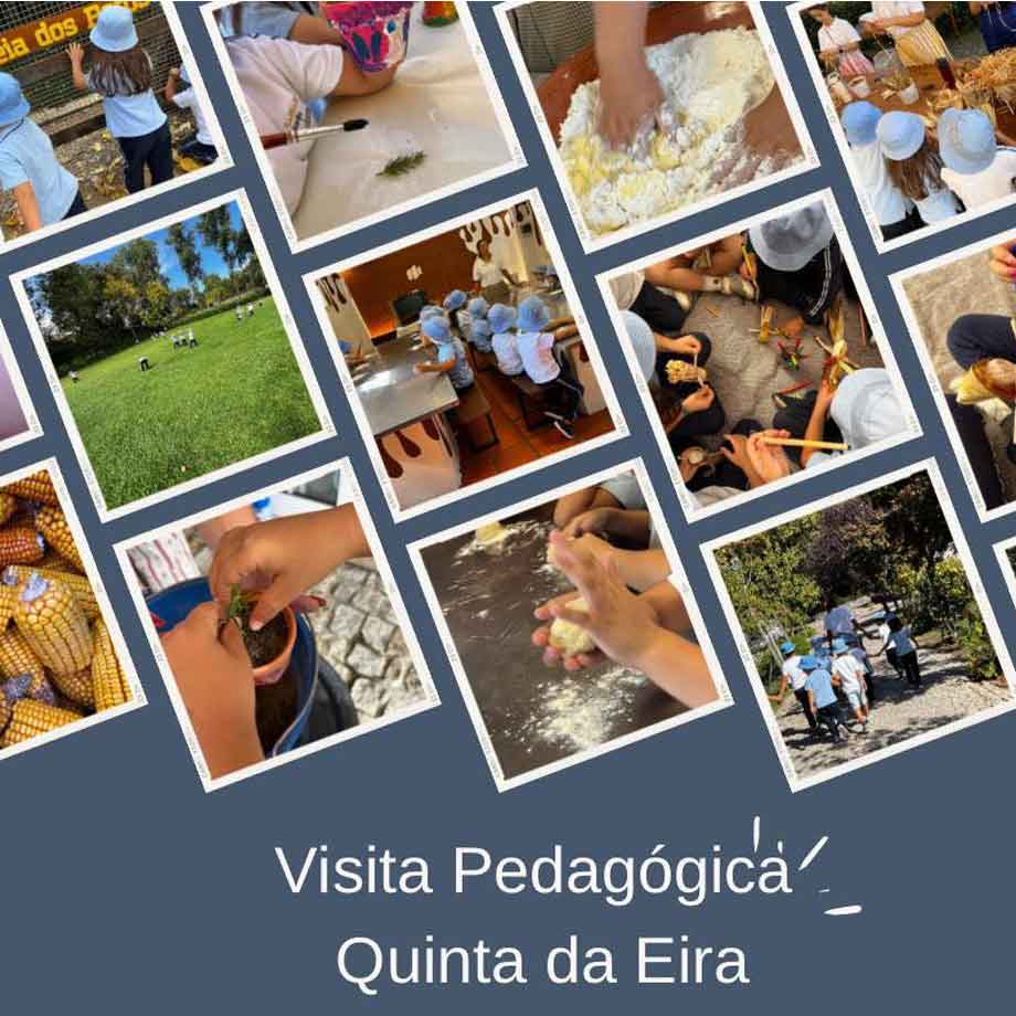 desfolhada-Quinta-Eira-externato-santa-joana-02