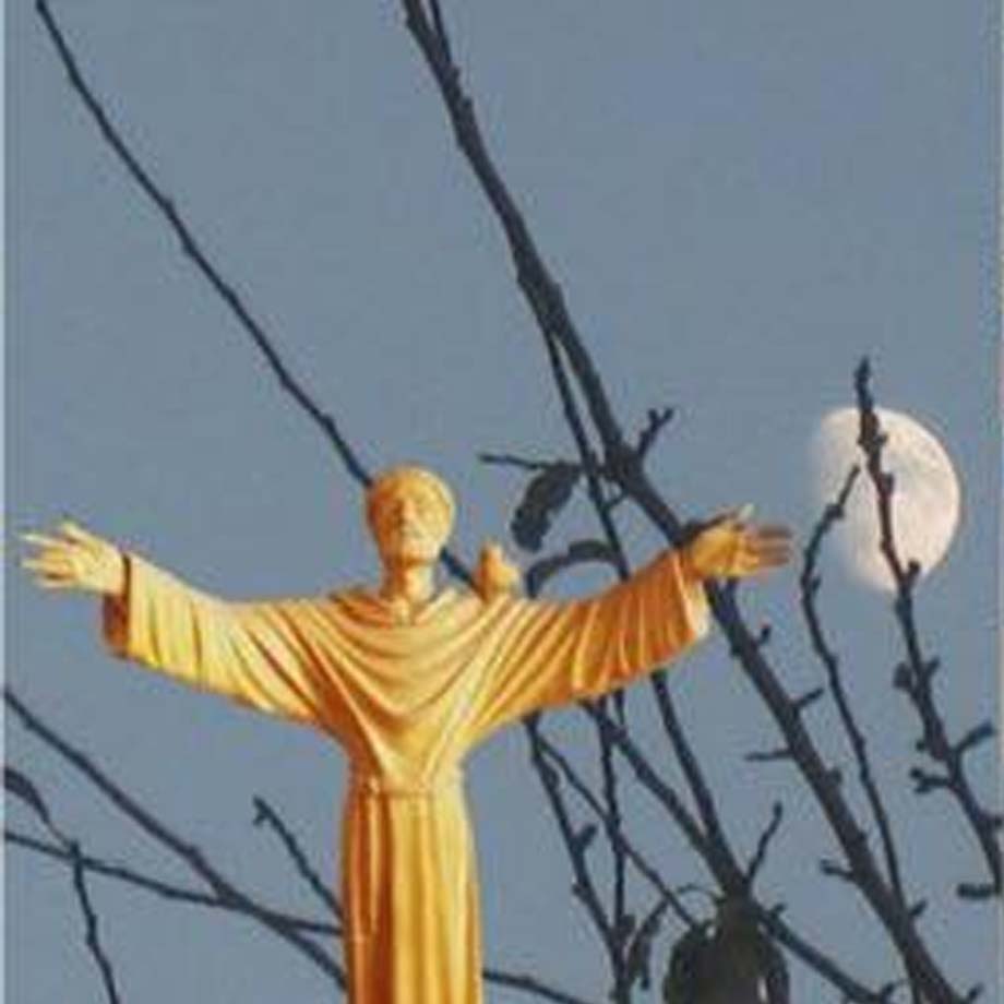 sao-francisco-assis-externato-santa-joana-01