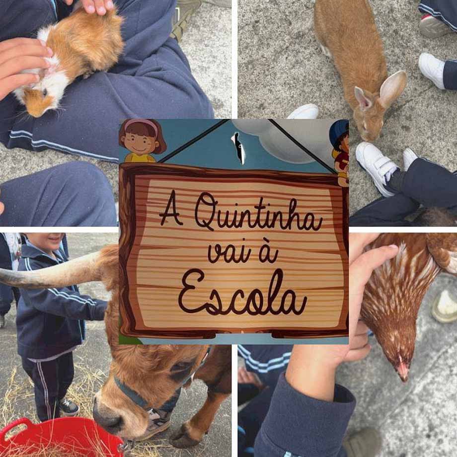 quintinha-animais-escola-municipio-valongo-externato-santa-joana-01