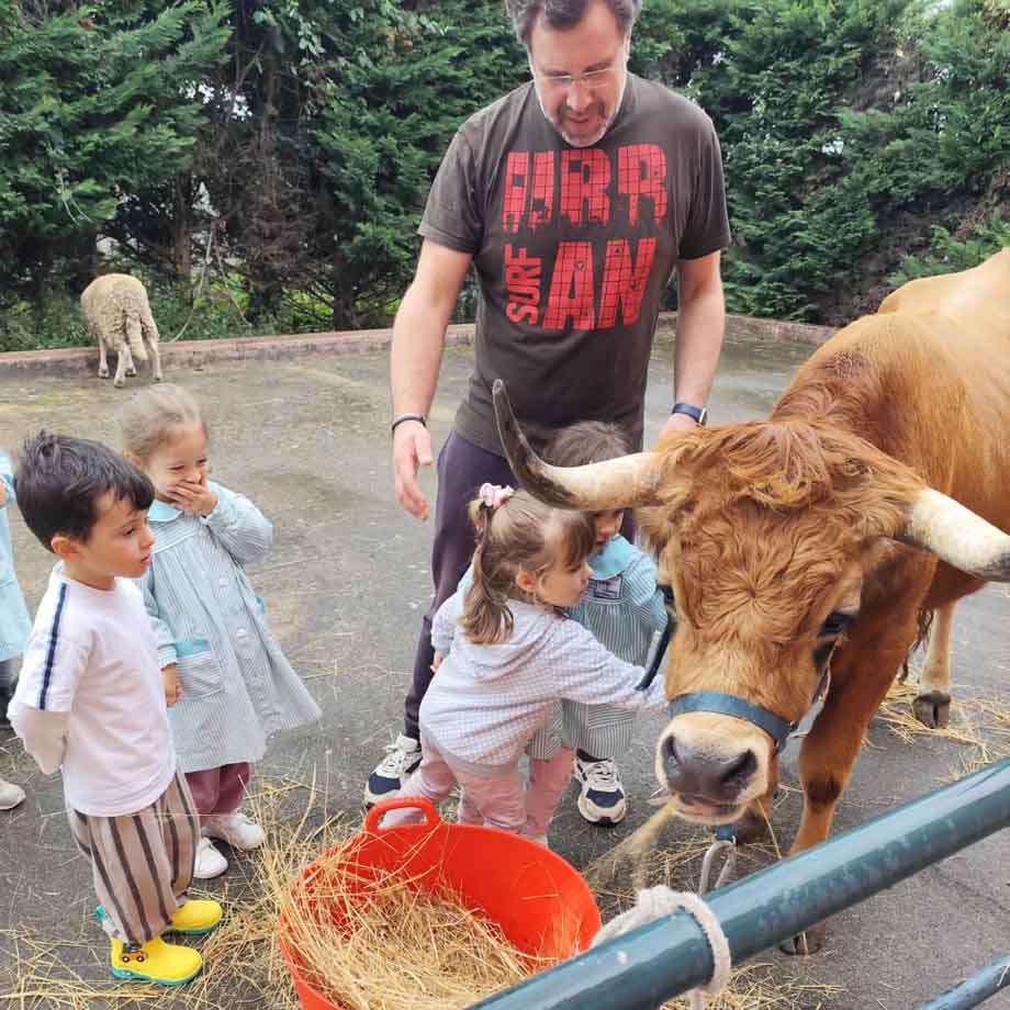 quintinha-animais-escola-municipio-valongo-externato-santa-joana