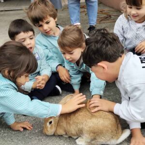 quintinha-animais-escola-municipio-valongo-externato-santa-joana
