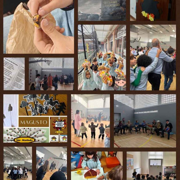 sao-martinho-externato-santa-joana-02