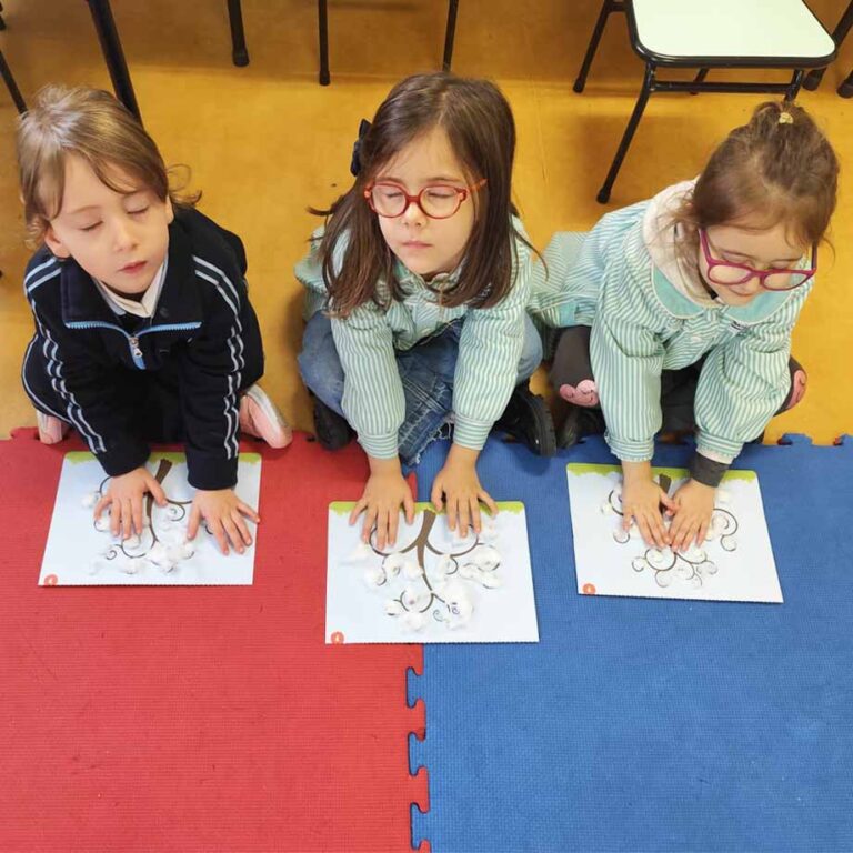 pre-escolar-arvore-externato-santa-joana