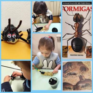 Cigarra-Formiga-externato-santa-joana-01