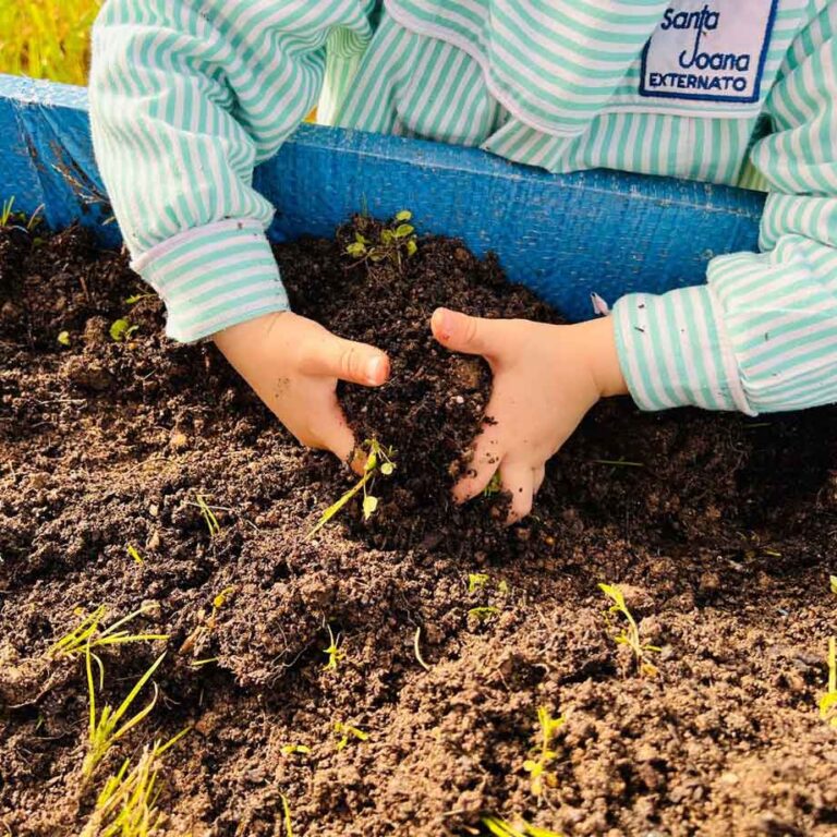 flor-minha-pre-escolar-externato-santa-joana