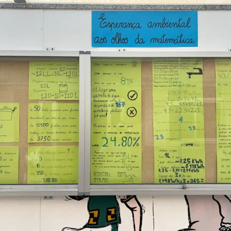 matematica_externato_santa_joana_01