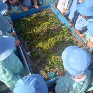 dia-terra-externato-santa-joana