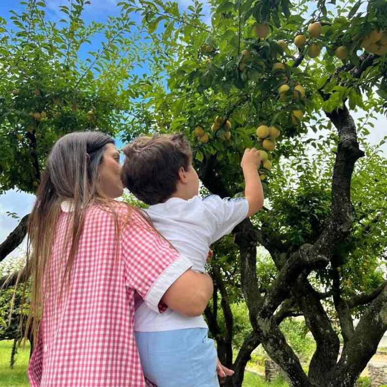 colher-fruta-externato-santa-joana-01